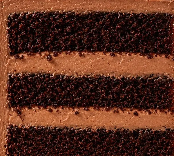 Classic Chocolate cake layer closeup supplied by Nicole