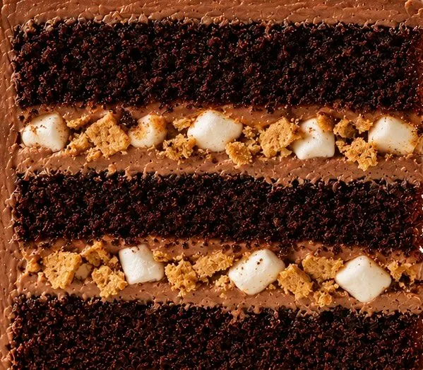 Chocolate S’mores cake layer closeup supplied by Nicole